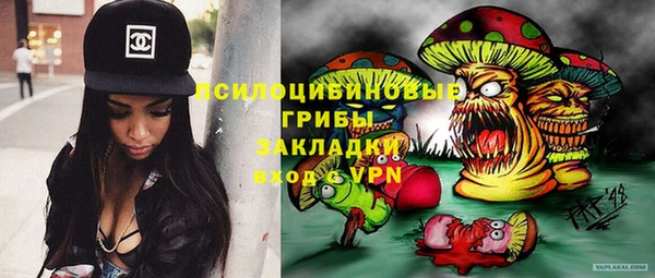 ешки Лабытнанги