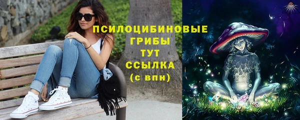 ешки Лабытнанги