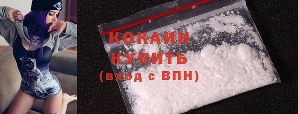 прущие грибы Осинники