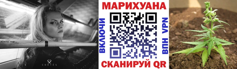 Конопля марихуана  где купить наркоту  Новая Усмань 